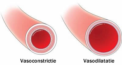 Razele infraroșii - vasodilatația