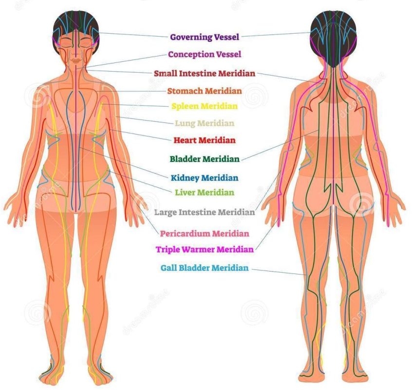 cele 12 meridiane ale corpului uman